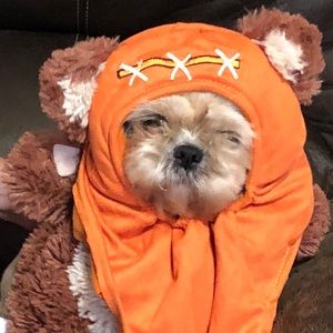 Meet your Posher, Shane